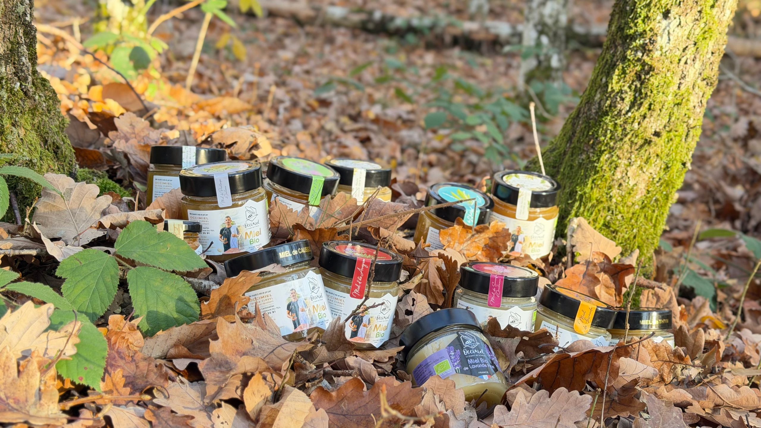 Gamme de miel bio by occimiel